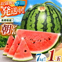 【ふるさと納税】信州名産 スイカ 長野県 波田産 西瓜 2L( 約7kg~8kg ) │ 信州 松本市 名産地 すいか 果物 野菜 フルーツ くだもの フルーツ ふるーつ ふるさと納税 好食感 高糖度 甘い 美味しい 長野名物 特産品 夏果物 令和7年 7月 - 8月 発送