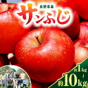 【ふるさと納税】11月下旬発送【選べる】サンふじ 1kg~10kg (3~50玉)| ふるさと納税 果物 くだもの フルーツ サンふじ リンゴ りんご 林檎 信州産 長野県 松本市