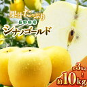 【ふるさと納税】10月下旬発送【選べる】シナノゴールド 3kg~10kg(6~50玉) | ふるさと納税 果物 くだもの フルーツ シナノゴールド リンゴ りんご 林檎 信州産 長野県 松本市