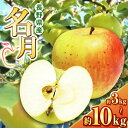 【ふるさと納税】10月下旬発送【選べる】名月 3kg~10kg(9~36玉) | ふるさと納税 果物 くだもの フルーツ 名月 リンゴ りんご 林檎 信州産 長野県 松本市