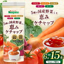 【ふるさと納税】【選べる本数】5種の国産野菜入り恵みケチャップ190g 6本セット or 15本セット|ふるさと納税 信州 長野県 松本市 トマト100% ケチャップ 食料 野菜