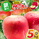 【ふるさと納税】11月上旬から順次発送【先行予約】訳アリりんごサンふじ 5kg| 訳あり ふるさと納税 長野県 松本市 リンゴ りんご フジ