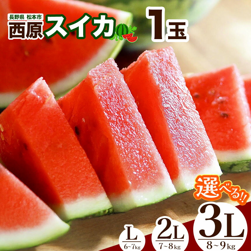 【ふるさと納税】【2025年発送 先行予約】松本市 西原スイカ【先行受付】選べる! L or 2L or 3L │ 信州 松本市 長野県 西瓜 すいか 果物 大玉 スイカ フルーツ くだもの フルーツ ふるーつ
