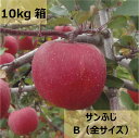 【ふるさと納税】【先行受付:2025年11月発送】【家庭用】信州松本のりんご 家庭用「サンふじ」約10kg|ふるさと納税 信州産 長野県 松本市 家庭用 サンふじ りんご リンゴ 林檎 果物 フルーツ くだもの