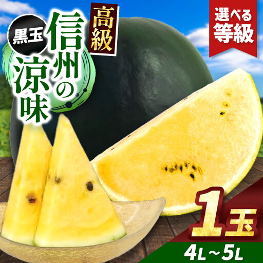 【ふるさと納税】先行予約【選べる】信州波田産 高級 黒玉スイカ!信州の涼味 4L~5Lサイズ 1玉 |ふるさと納税 長野県 信州 松本 果物 フルーツ すいか スイカ 西瓜 贈答 季節限定 甘い くだもの ふるーつ 【ふるさと納税】先行予約【選べる】信州波田産 高級 黒玉スイカ!信州の涼味 4L~5Lサイズ 1玉 |ふるさと納税 長野県 信州 松本 果物 フルーツ すいか スイカ 西瓜 贈答 季節限定 甘い くだもの ふるーつ