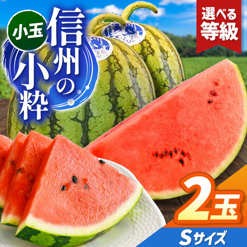 【ふるさと納税】先行予約【選べる】信州波田産 小玉スイカ!信州の小粋 2玉 Sサイズ|ふるさと納税 長野県 信州 松本 果物 フルーツ 小玉 すいか スイカ 西瓜 贈答 特選 季節限定 甘い くだもの ふるーつ