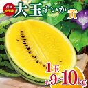 【ふるさと納税】【先行受付:2026年発送】信州波田産 大玉すいか(黄) 1玉 約9~10kg │ すいか スイカ 大玉 野菜 夏 果物 新鮮 自然 甘い 美味しい 波田 長野県 信州 松本 ふるさと納税