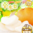【ふるさと納税】【先行受付:2026年発送】信州松本産 幸水梨 5~6玉約2kg │ 梨 なし ナシ 幸水 幸水梨 果汁 果物 くだもの フルーツ 自然 旬 ご褒美 長野県 信州 松本 ふるさと納税