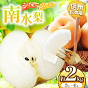 【ふるさと納税】信州松本産 南水梨 5~6玉約2kg │ 梨 なし ナシ 南水 南水梨 果汁 果物 秋 くだもの フルーツ 自然 旬 ご褒美 長野県 信州 松本 ふるさと納税