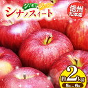 【ふるさと納税】信州松本産 シナノスイート 5~6玉約2kg 通常品 │ 林檎 りんご リンゴ シナノスイート 果汁 果物 貴重 くだもの フルーツ 自然 旬 ご褒美 長野県 信州 松本 ふるさと納税