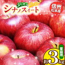 【ふるさと納税】信州松本産 シナノスイート 約3kg 家庭用(訳あり品) │ 林檎 りんご リンゴ シナノスイート 果汁 果物 貴重 くだもの フルーツ 自然 旬 ご褒美 長野県 信州 松本 ふるさと納税