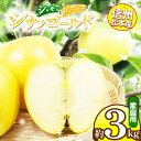 【ふるさと納税】信州松本産 シナノゴールド 約3kg 家庭用(訳あり品) │ 林檎 りんご リンゴ シナノゴールド 果汁 果物 貴重 くだもの フルーツ 自然 旬 ご褒美 長野県 信州 松本 ふるさと納税