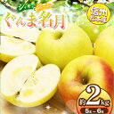 【ふるさと納税】信州松本産 ぐんま名月 5~6玉約2kg 通常品 │ 林檎 りんご リンゴ ぐんま名月 果汁 果物 貴重 くだもの フルーツ 自然 旬 ご褒美 長野県 信州 松本 ふるさと納税