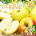 【ふるさと納税】信州松本産 ぐんま名月 約3kg家庭用(訳あり品) │ 林檎 りんご リンゴ ぐんま名月 果汁 果物 貴重 くだもの フルーツ 自然 旬 ご褒美 長野県 信州 松本 ふるさと納税