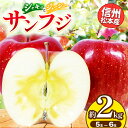 【ふるさと納税】信州松本産 サンふじ 5~6玉約2kg 通常品 │ 林檎 りんご リンゴ サンふじ 果汁 果物 貴重 くだもの フルーツ 自然 旬 ご褒美 長野県 信州 松本 ふるさと納税