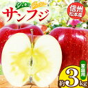 【ふるさと納税】信州松本産 サンふじ 約3kg 家庭用(訳あり品) │ 林檎 りんご リンゴ サンふじ 果汁 果物 貴重 くだもの フルーツ 自然 旬 ご褒美 長野県 信州 松本 ふるさと納税