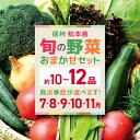 【ふるさと納税】【選べる季節】信州松本産・旬の野菜 おまかせセット(約10~12品)7月発送 or 8月発送 or 9月発送 or 10月発送 or 11月発送 │ 野菜 やさい 旬 旬の野菜 新鮮 自然 セット 野菜セット 美味しい 長野県 信州 松本 ふるさと納税