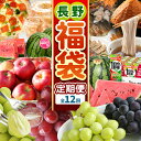【ふるさと納税】 〈福袋〉松本味めぐり、満喫セット(定期便12回)| ふるさと納税 松本 名産 味噌 餃子 お菓子 山賊焼き ピザ 飲料 スイカ 小玉 大玉 ぶどう りんご 蕎麦 定期便 沢山 甘い 信州 長野県 松本市