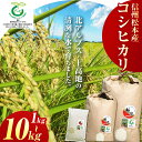 【ふるさと納税】【選べる容量】10月から発送 信州松本産コシヒカリ 1kg or 5kg or 10kg| ふるさと納税 松本市 長野県 松本市 コシヒカリ 米 コメ 白米 精米 ごはん 贈り物 風味