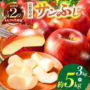 【ふるさと納税】【選べる内容量】信州産 サンふじ約3kg or 5kg | ふるさと納税 果物 くだもの フルーツ サンふじ リンゴ りんご 林檎 信州産 長野県 松本市
