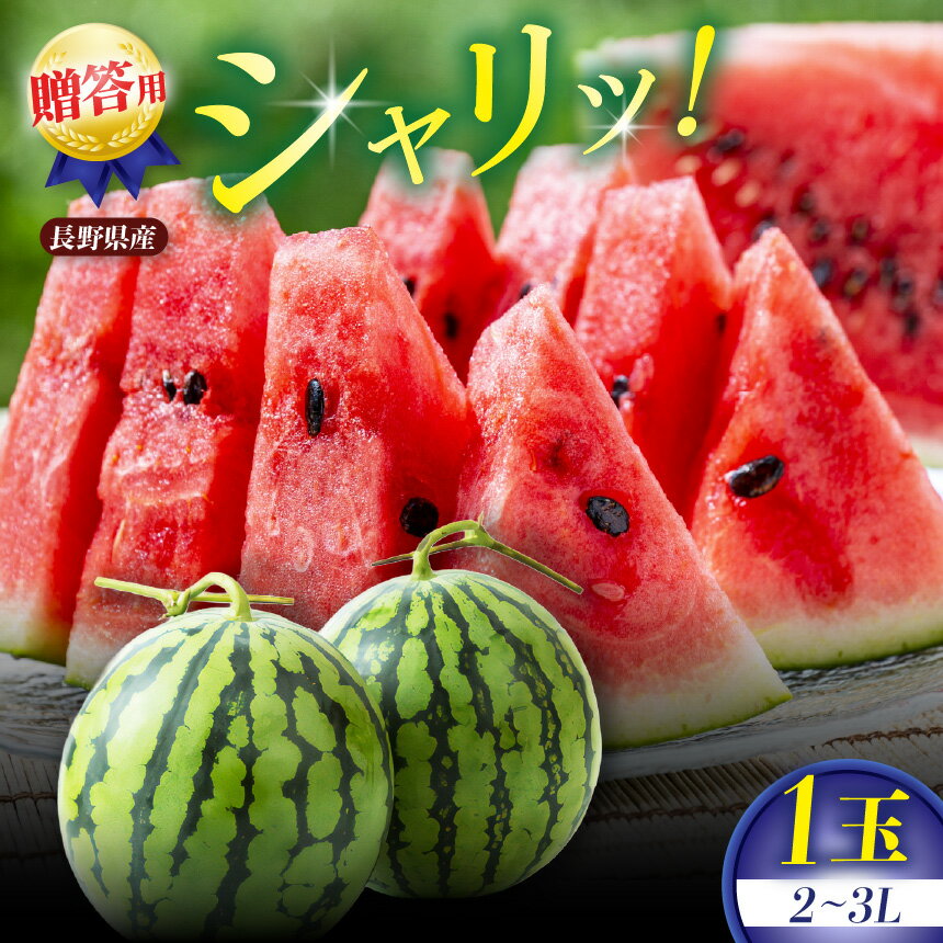 2026年先行予約 贈答用 信州松本平産 西瓜 2〜3L 1個 〜高原の恵みが生んだ、甘くみずみずしい夏の味〜 │ すいか スイカ 野菜 夏 果物 新鮮 自然 甘い 美味しい 長野県 信州 松本 ふるさと納税