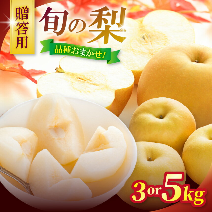 [選べる]2026年先行予約 贈答用 信州松本平産 梨[幸水・豊水・南水]おまかせ詰め合わせセット 約3kg or 約5kg |ふるさと納税 梨 なし 幸水 豊水 南水 信州産 長野県 松本市