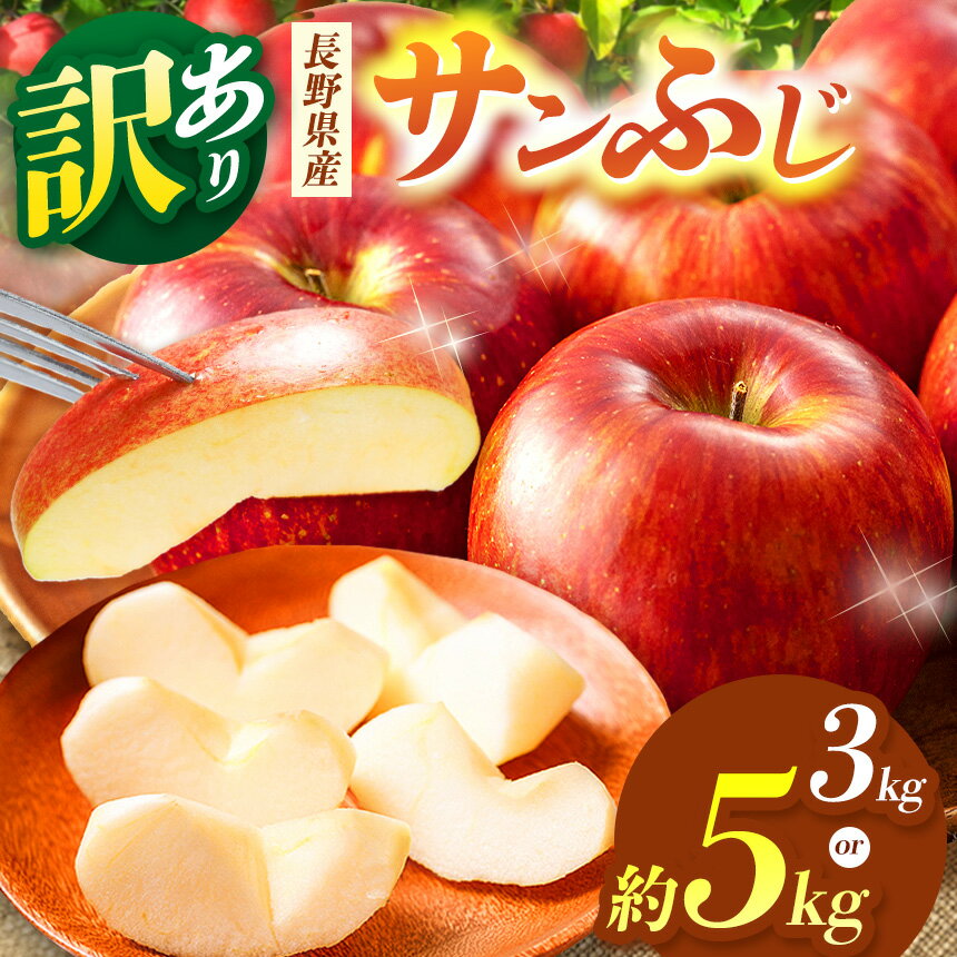 [選べる]松本市産 訳ありサンふじ 約3kg or 5kg | ふるさと納税 果物 訳あり くだもの フルーツ サンふじ リンゴ りんご 林檎 信州産 長野県 松本市