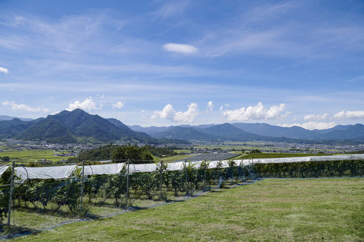 【ふるさと納税】040-009 ソラリス東山カベルネ・ソーヴィニヨン｜ワイン　ギフト