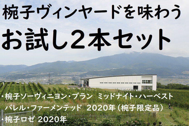 【ふるさと納税】034-003 椀子ヴィンヤードを味わうお試し2本セット｜ワイン　ギフト　セット