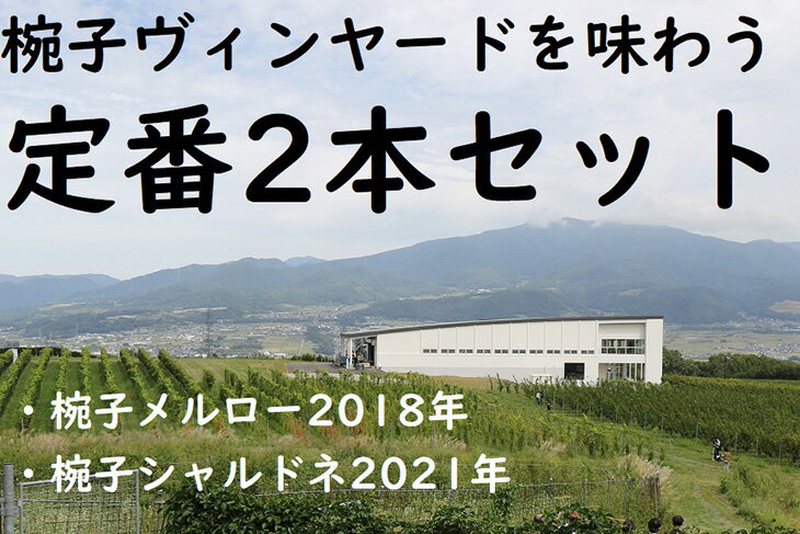 【ふるさと納税】037-008椀子ヴィンヤードを味わう定番2本セット