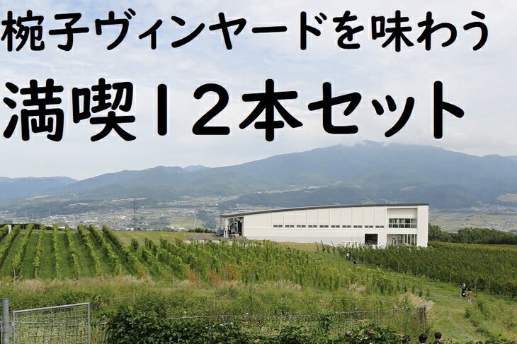 【ふるさと納税】240-006　椀子ヴィンヤードを味わう満喫12本セット