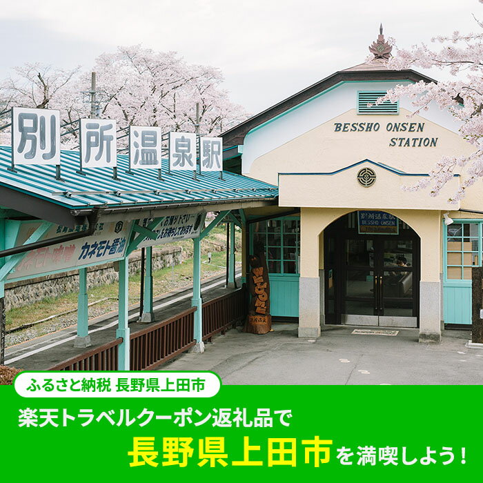 【ふるさと納税】 長野県上田市の対象施設で使える 楽天トラベルクーポン 寄付額300,000円(クーポン90,000円)　【チケット】