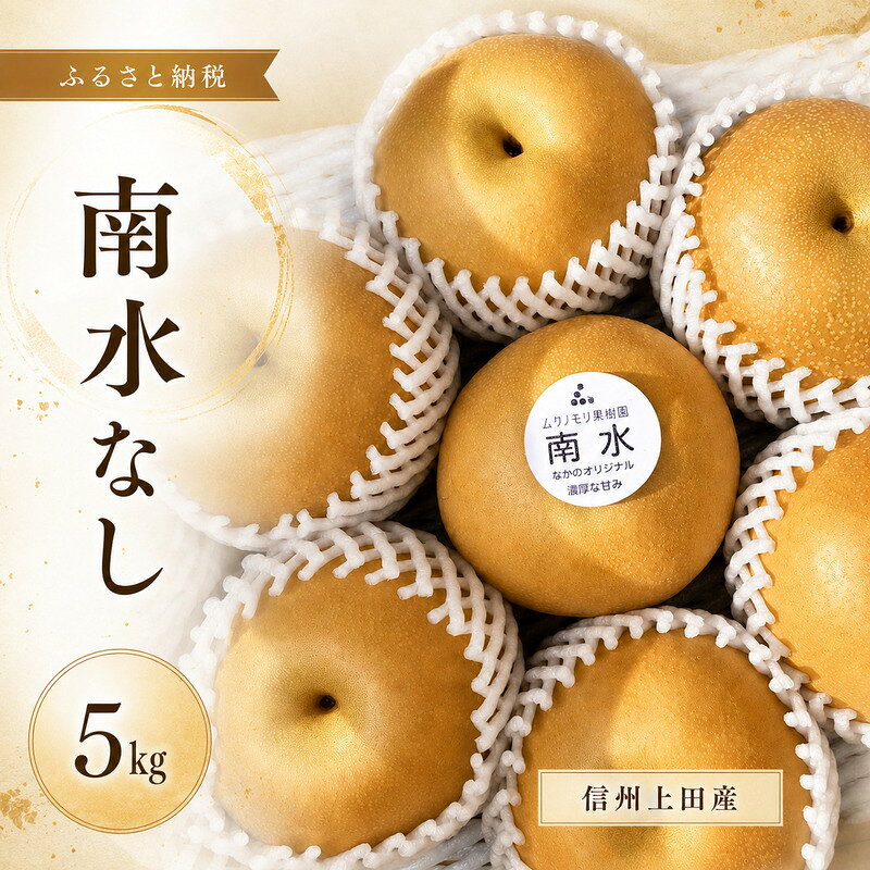 【ふるさと納税】南水なし 5kg なし 信州 上田 ムクノモリ果樹園 果物 フルーツ 旬　お届け：2026年9月中旬～10月下旬まで