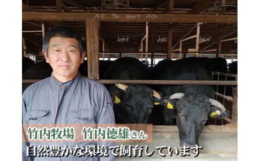 【ふるさと納税】黒毛和牛 信州プレミアム牛肉 750g×2セット 切落し焼き肉セット タレ付き 焼肉 やきにく 竹内牧場 長野県上田市　お届け：30日以内に発送いたします f202037-ueda-10001345 長野県上田市 サンプル画像3