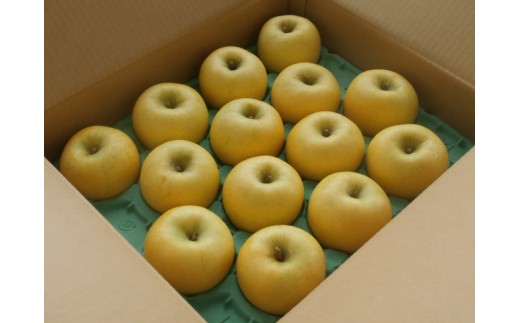【ふるさと納税】贈答用にも！JA信州うえだ「シナノゴールド」りんご 特秀約5kg　お届け：2026年10月下旬～11月上旬頃に順次発送予定