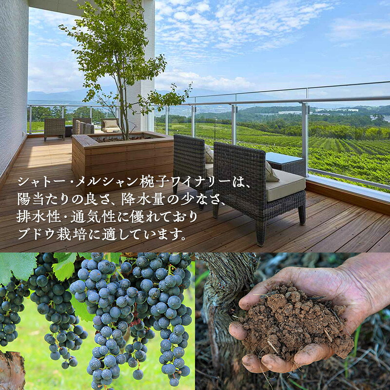 【ふるさと納税】ワイン 椀子シャルドネ アンウッデッド 750ml シャトー・メルシャ...