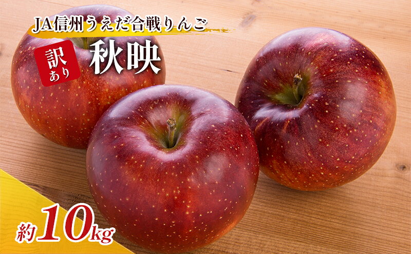 【ふるさと納税】訳あり りんご JA信州うえだ 合戦りんご 秋映 約10kg リンゴ 林檎 果物 くだもの フルーツ 信州 長野 離乳食 訳アリ わけあり 傷　お届け：2026年9月下旬～10月上旬頃に順次発送予定