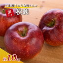 【ふるさと納税】訳あり りんご JA信州うえだ 合戦りんご 秋映 約10kg リンゴ 林檎 果物 くだもの フルーツ 信州 長野 離乳食 訳アリ わけあり 傷 お届け:2025年9月下旬から10月上旬まで