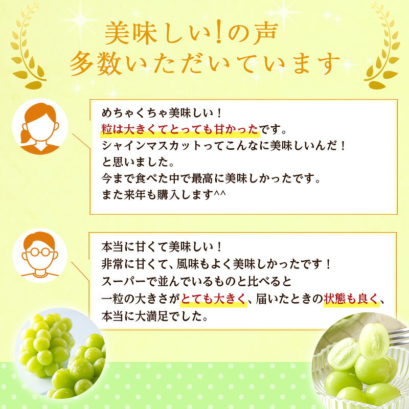 【ふるさと納税】特産 シャインマスカット JA信州うえだ 大房 2房 約1.1kg マスカット 葡萄 ぶどう ブドウ 果物 くだもの フルーツ 信州 長野　お届け：2026年9月下旬から10月中旬まで