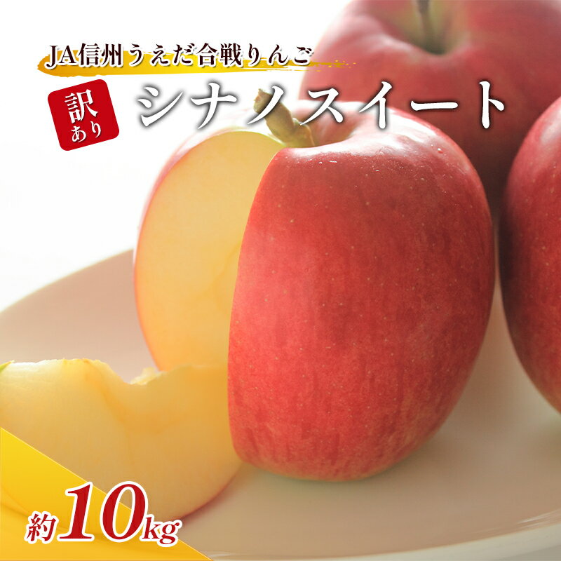 【ふるさと納税】JA信州うえだ合戦りんご「シナノスイート」約10kg 訳あり　【 果物 フルーツ 果実 長野県産 信州リンゴ 信州のりんご 長野りんご 長野のりんご 】　お届け：2023年10月中旬〜10月下旬頃に順次発送予定のサムネイル