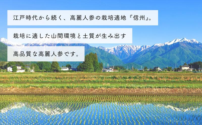 【ふるさと納税】生高麗人参 6年根 大 150g 高麗人参 生 六年生 健康食品 健康 疲...