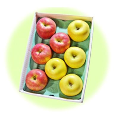 【ふるさと納税】りんご 2種セット 詰め合わせ 約3kg 7～9玉 シナノスイート シナノゴールド セット 林檎 信濃スイート 果物 くだもの フルーツ 旬の果物 旬のフルーツ 食べ比べ 信州産 長野県産 信州 長野 長野県 上田市　お届け：2024年10月中旬～11月中旬頃のサムネイル