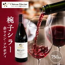 【ふるさと納税】ワイン 椀子シラー 750ml シャトー・メルシャン シラー 赤ワイン フルボディ お酒 酒 アルコール ギフト 贈り物 プレゼント お届け:3...
