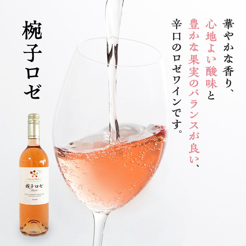 【ふるさと納税】限定 ワイン 椀子ヴィンヤードを味わうお試し セット 2本 椀子シ...