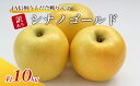 長野県上田市の画像2