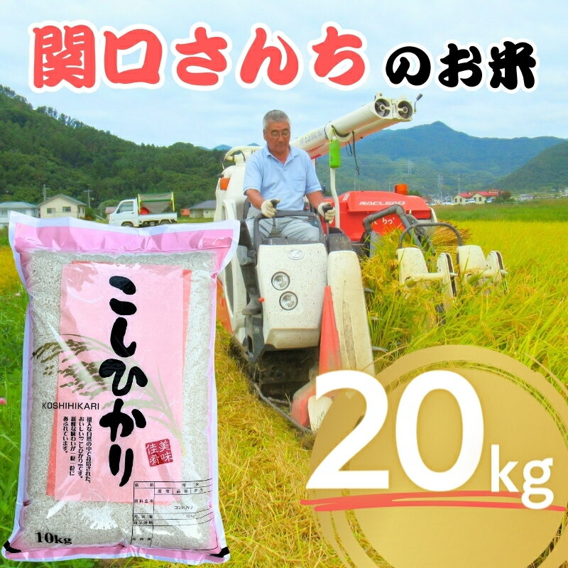 【ふるさと納税】米 令和5年 関口さんちのお米 コシヒカリ 20kg お米 こめ コメ 精米 白米 ...