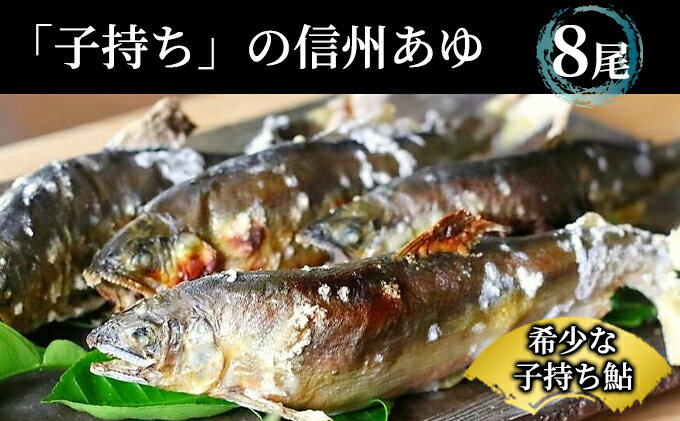 【ふるさと納税】【先行予約】 2024年9月発送 生産者直送！「信州あゆ 子持ち 」冷凍8尾入 長野 上田市　【 魚貝類 川魚 魚 魚料理 旨みが強い 新鮮 塩焼き 鮎の塩焼き 焼き魚 バーベキュー 子持ち鮎 食材 甘露煮 】　お届け：2024年9月1日～2024年9月30日