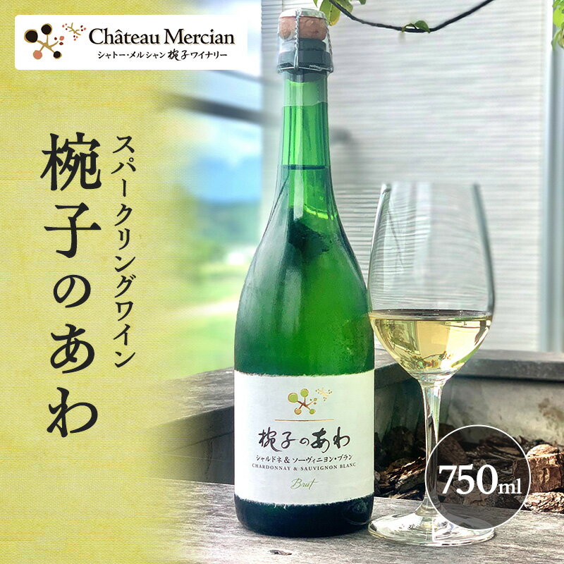 【ふるさと納税】椀子のあわ ワイン　ギフト　 お酒 心地よい酸 豊かな果実感 きめ細かい スパークリングワイン 晩酌 家飲み 宅飲み お祝い 記念日 アルコール お家ディナー イベント 　お届け：30日以内に発送いたしますのサムネイル
