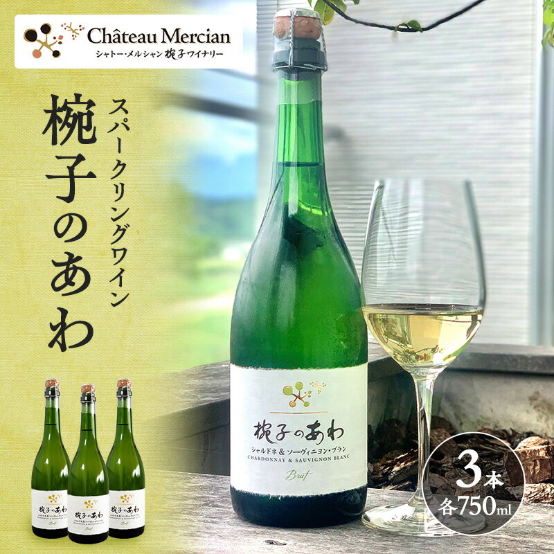 シャトー・メルシャン 椀子のあわ 3本セット [ お酒 晩酌 家飲み 宅飲み お祝い 記念日 アルコール ぶどう酒 お家ディナー イベント 華やかな香り 果実感 きめ細かい泡 ] お届け:30日以内に発送いたします