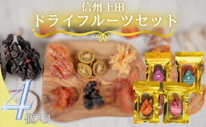 【ふるさと納税】信州上田ドライフルーツセット 【 加工食品 食べ比べ 食べ物 上田産フルーツ 自社製造 甘み 酸味 香り 濃縮 おやつ 間食 ダイエット中 りんご プルーン あんず 桃 ラフランス さくらんぼ ぶどう 】